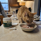 PurrrSupps Taurine Powder for Senior Cats