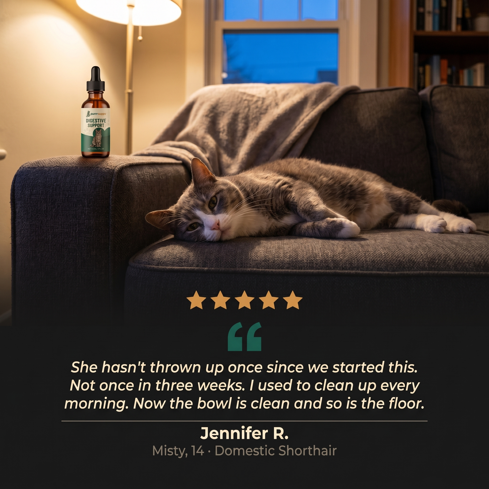 Taurine Is the Fuel — This Serum Repairs the Fuel Line — PurrrSupps™ Digestive Support Serum