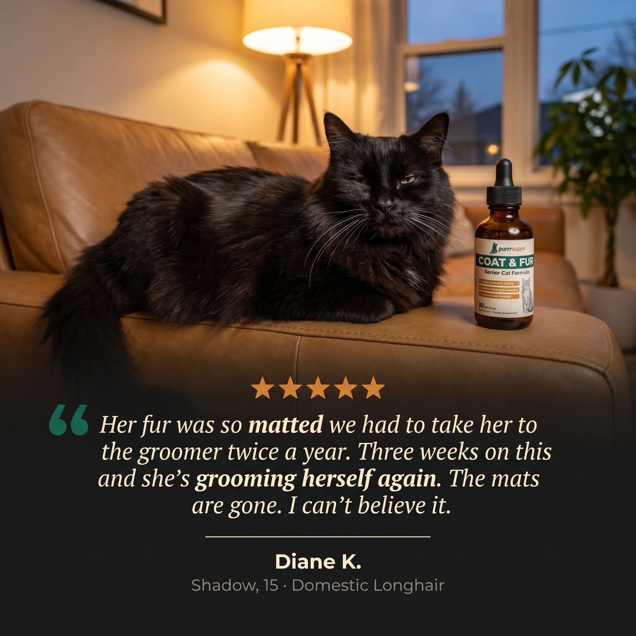 Clear the Flaking Matting and Buildup That Months of Missed Grooming Left Behind — PurrrSupps™ Dandruff Relief Serum