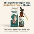 Taurine Is the Fuel — This Serum Repairs the Fuel Line — PurrrSupps™ Digestive Support Serum
