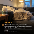 PurrrSupps Taurine Powder for Senior Cats